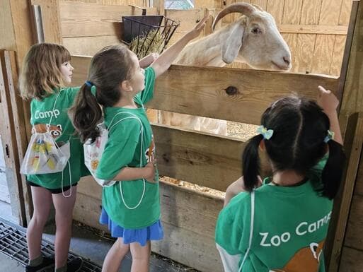 Prospect Park Zoo Summer Camp