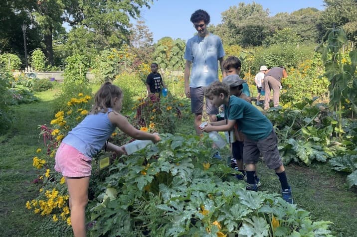 Brooklyn Botanic Garden Summer Classes