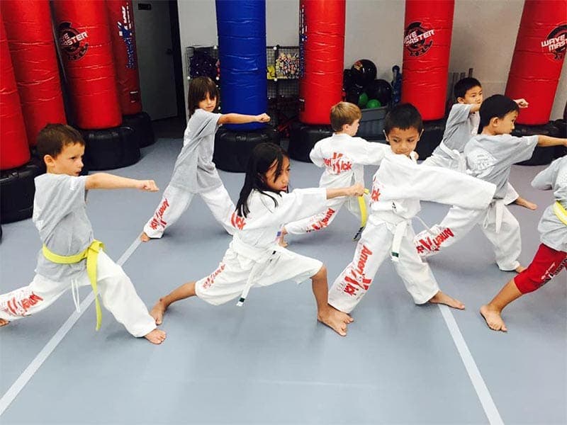 Amerikick Martial Arts